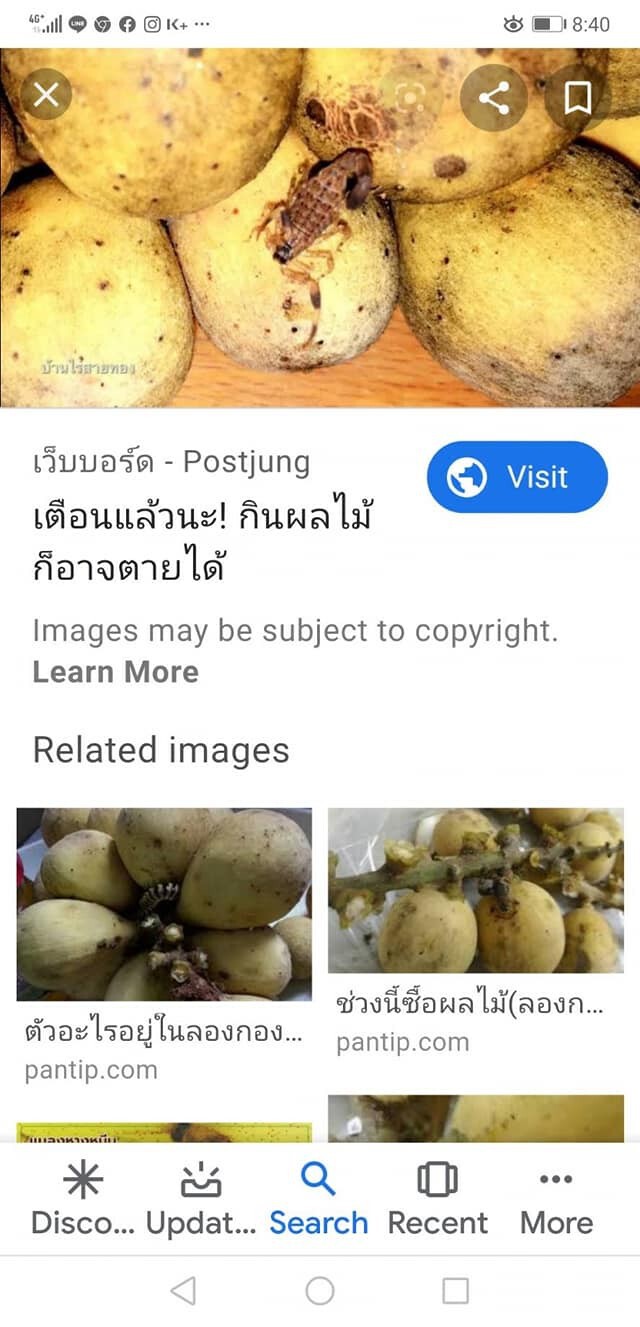 หนุ่มโพสต์เตือน "พิษร้ายแรง!" ที่มากับพวงลองกอง
