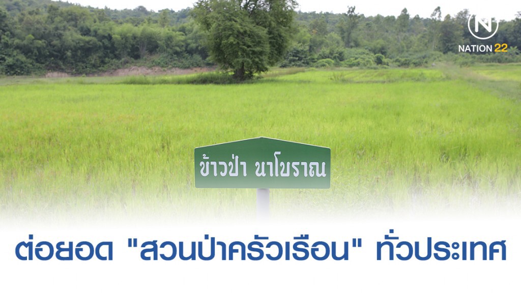ปตท.ต่อยอด "สวนป่าครัวเรือน" ทั่วประเทศ