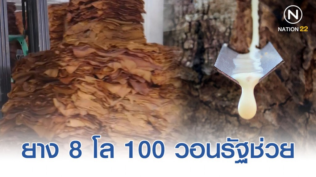 อยู่ไม่ได้! ยาง 8 โล 100 วอนรัฐบาลช่วยแก้ปัญหา
