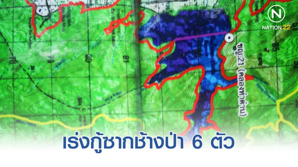 อุทยานเร่งกู้ซากช้างป่าตาย 6 ตัว ในลำน้ำคลองท่าด่าน