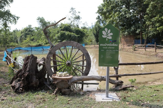 ปตท.ต่อยอด "สวนป่าครัวเรือน" ทั่วประเทศ