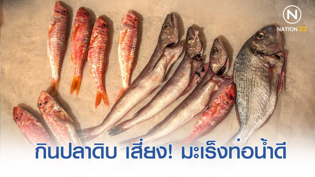 กินปลาสุกๆดิบๆ เสี่ยงมะเร็งท่อน้ำดี