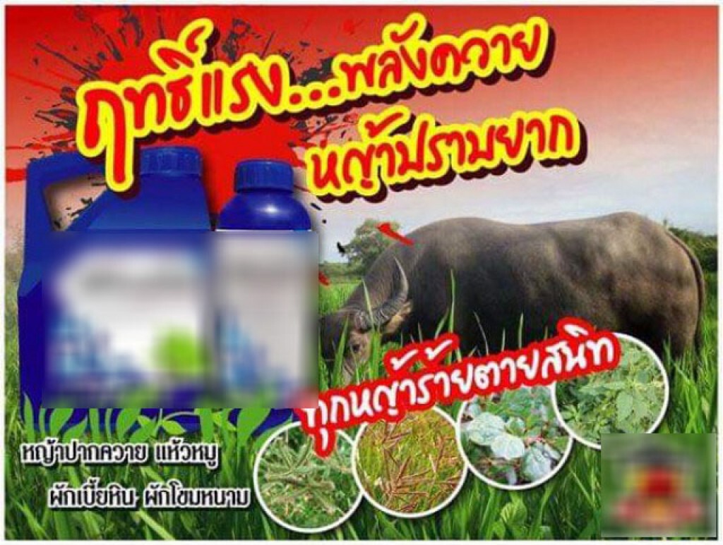 วงในเกษตร​เผยใช้​ 'กลูโฟซิเนต-แอมโมเนียม'​ แทน​ พาราควอต​ ราคา​ 2​ พันกว่า/แกลลอน​