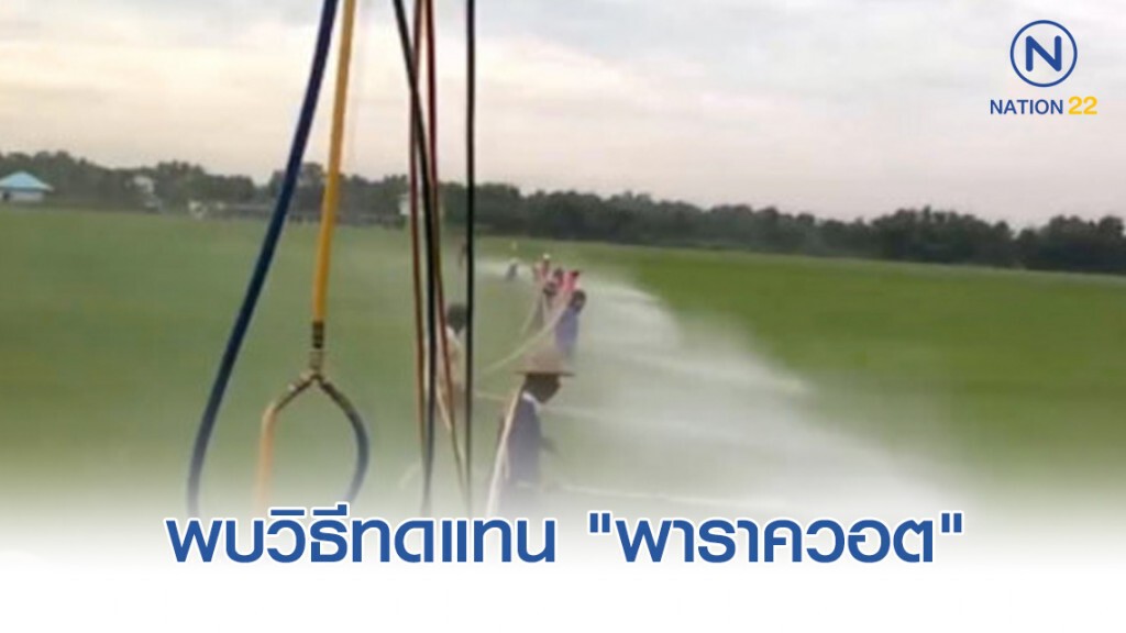 พบวิธีทดแทน "พาราควอต" ในเอกสารกรมวิชาการเกษตร พบวิธีทดแทน "พาราควอต" ในเอกสารกรมวิชาการเกษตร