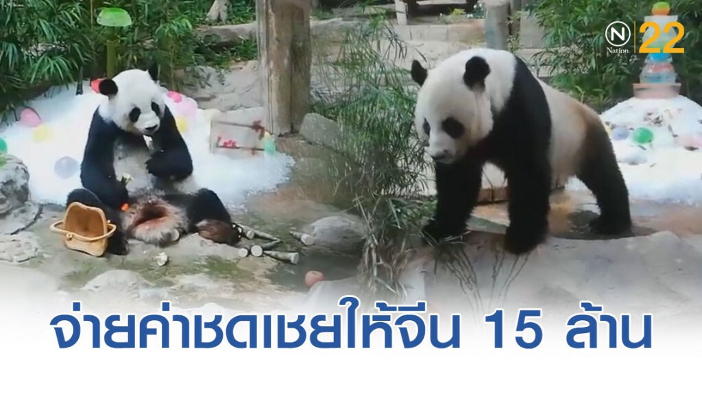 ประกันจ่ายค่าชดเชย "ช่วงช่วง"ตาย ให้จีน 15 ล้าน