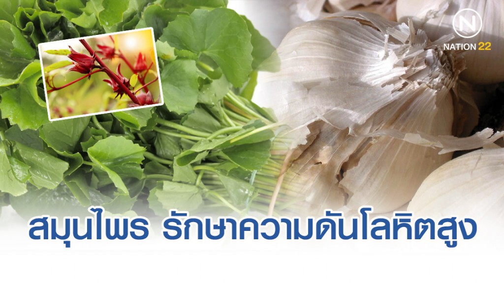 รู้จัก 5 สมุนไพร รักษาความดันโลหิตสูง
