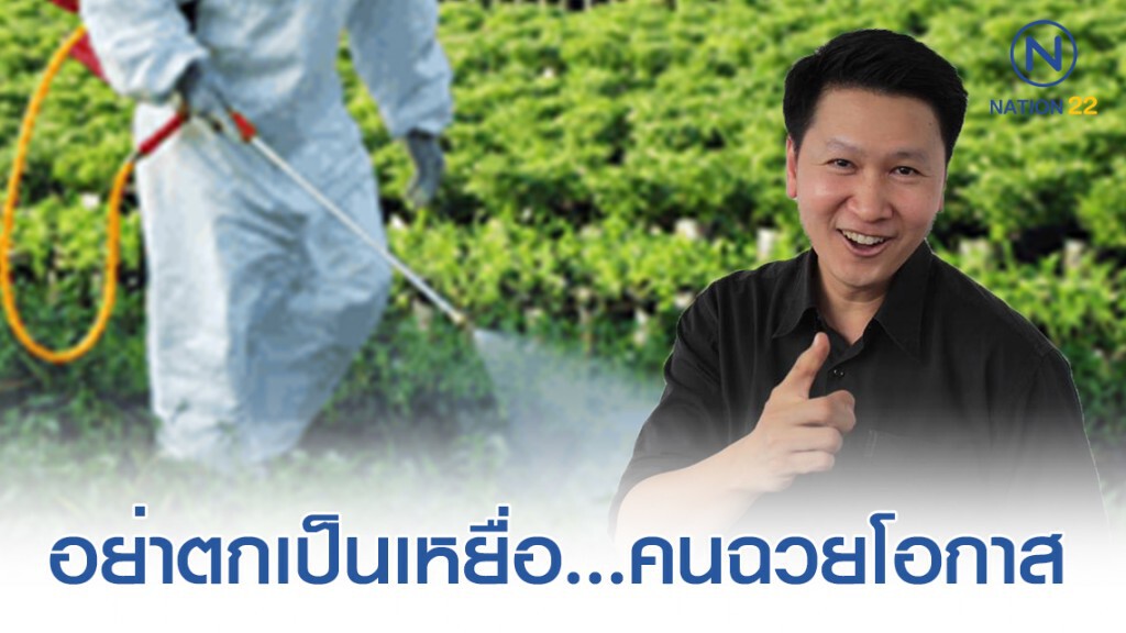 แบน 3 ยาปราบวัชพีช! ใช้ "สารทดแทน" เป็นเรื่องดี(ถ้ามีจริง)