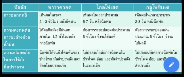 แบน 3 ยาปราบวัชพีช! ใช้ "สารทดแทน" เป็นเรื่องดี(ถ้ามีจริง)
