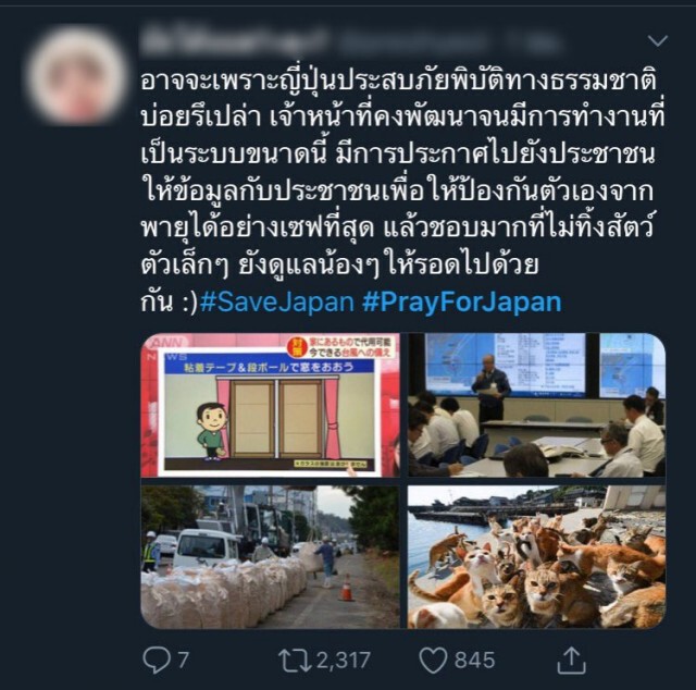 ทางการญี่ปุ่นไม่ทิ้ง แมว เผยมีที่หลบภัยให้