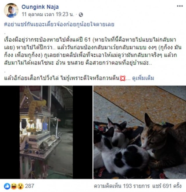 แมวสุดรักเดินหายวับเข้าไปในศาลพระภูมิ ต่อหน้าต่อตา