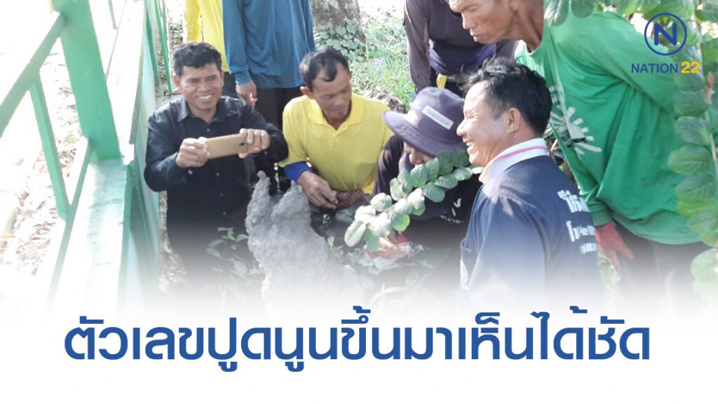 พบจอมปลวกคล้ายคนนั่งกวักมือ พบจอมปลวกคล้ายคนนั่งกวักมือ