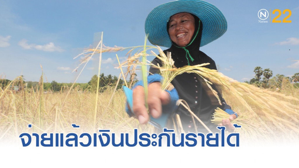 จ่ายแล้ว...เงินประกันรายได้เกษตรกรผู้ปลูกข้าวงวดแรก