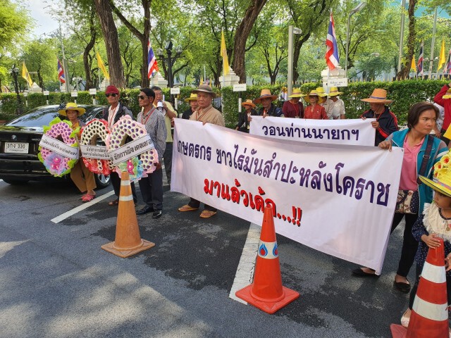 กลุ่มผู้ปลูก "มันสำปะหลัง" ค้าน "รมช.เกษตรฯ" สั่งแบน "พาราควอต"