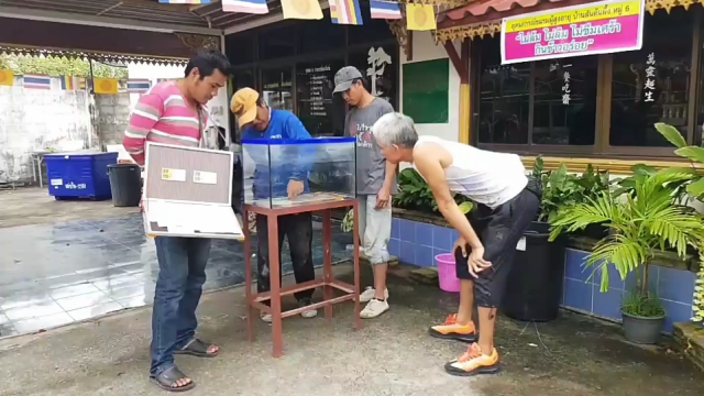 คอหวย แห่เสี่ยงโชค จากปลาไหลเงิน-ไหลทอง