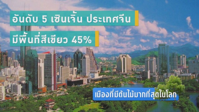 เมืองที่มีต้นไม้มากที่สุดในโลก