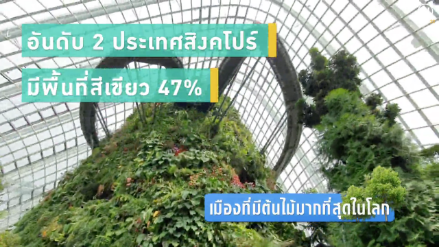 เมืองที่มีต้นไม้มากที่สุดในโลก