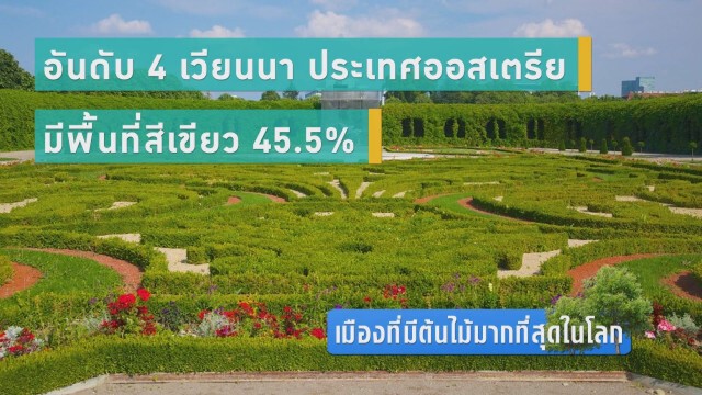 เมืองที่มีต้นไม้มากที่สุดในโลก