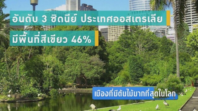 เมืองที่มีต้นไม้มากที่สุดในโลก