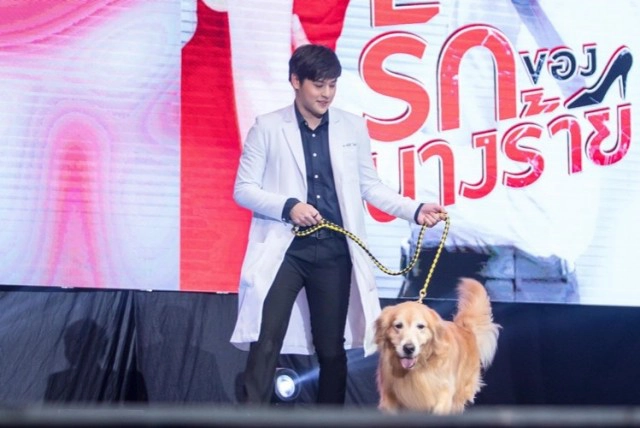 "จีเอ็มเอ็มทีวี"จัดหนักจัดเต็มเปิดตัว 12 ซีรีส์ใหม่