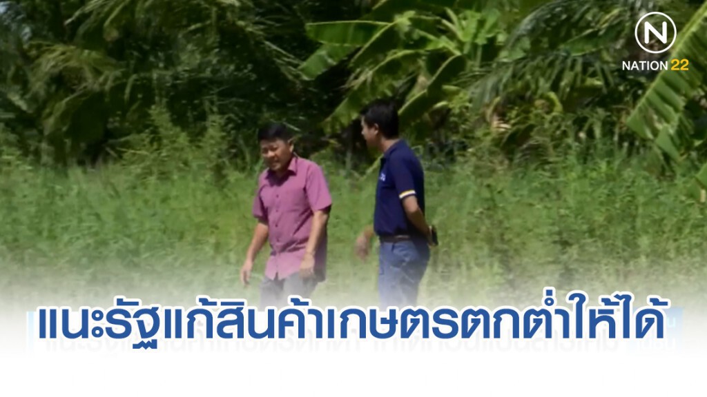เกษตรกร แนะรัฐแก้สินค้าเกษตรตกต่ำให้ได้ ก่อนแบนสารเคมี
