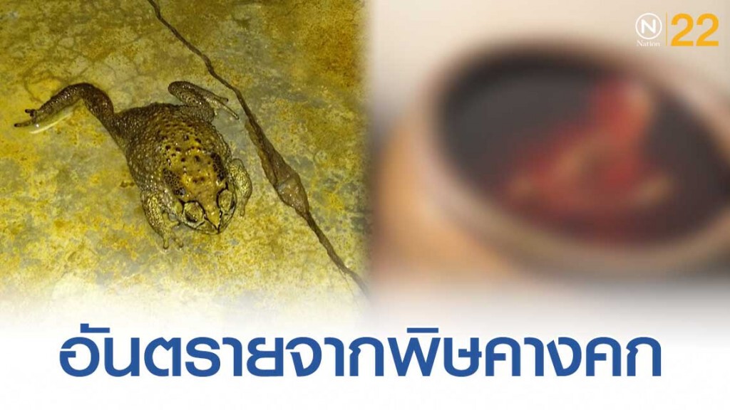 พิษคางคกอันตรายห้ามกิน