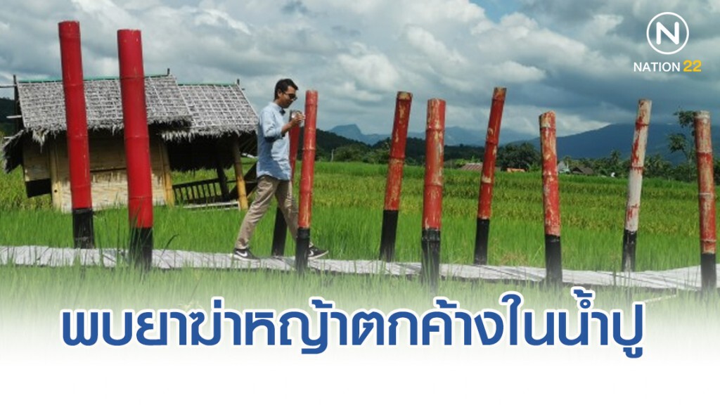 นักวิจัย​ ผงะ! ตรวจพบยาฆ่าหญ้าตกค้างในน้ำปู​ จ.น่าน