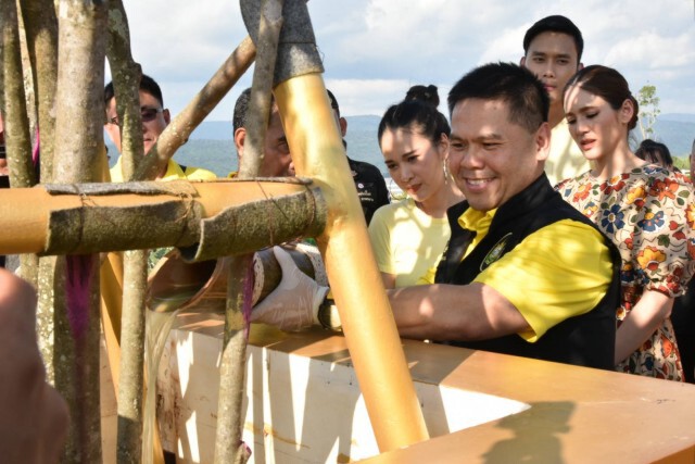 ชวนคนไทยร่วมดูแล บำรุง รักษา และปลูกต้นไม้