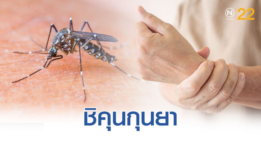 หนึ่งภัยร้ายที่มาจากยุงลาย "รู้ทัน..โรคชิคุนกุนยา"