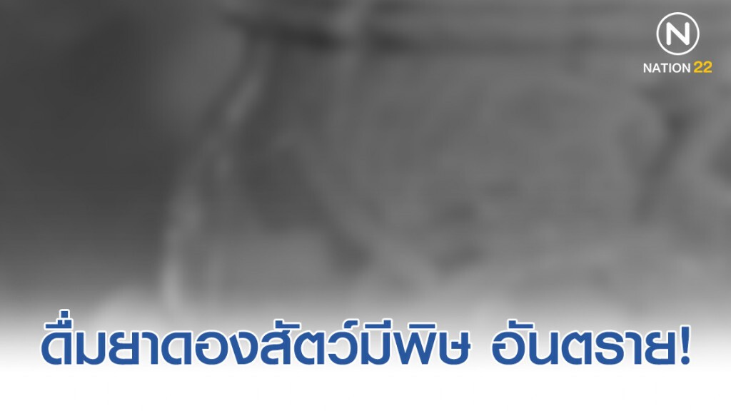 แพทย์เตือน! ดื่มยาดองสัตว์มีพิษ อันตรายถึงเสียชีวิต