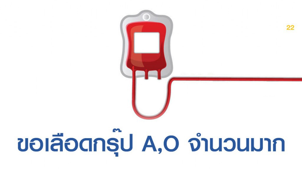 ธ.เลือด รพ.ภูมิพลอดุลยเดช พอ. ประกาศต้องการเลือด กรุ๊ป A,O เป็นจํานวนมาก ธ.เลือด รพ.ภูมิพลอดุลยเดช พอ. ประกาศต้องการเลือด กรุ๊ป A,O เป็นจํานวนมาก