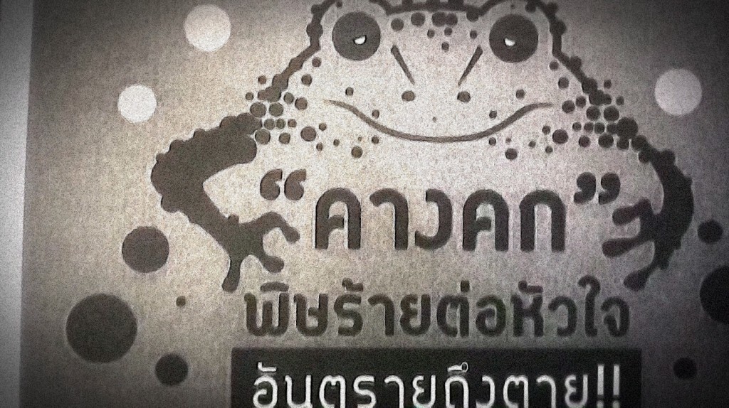 เก็บตกเที่ยงช่วงที่ 1 22-10-62 เก็บตกเที่ยงช่วงที่ 1 22-10-62