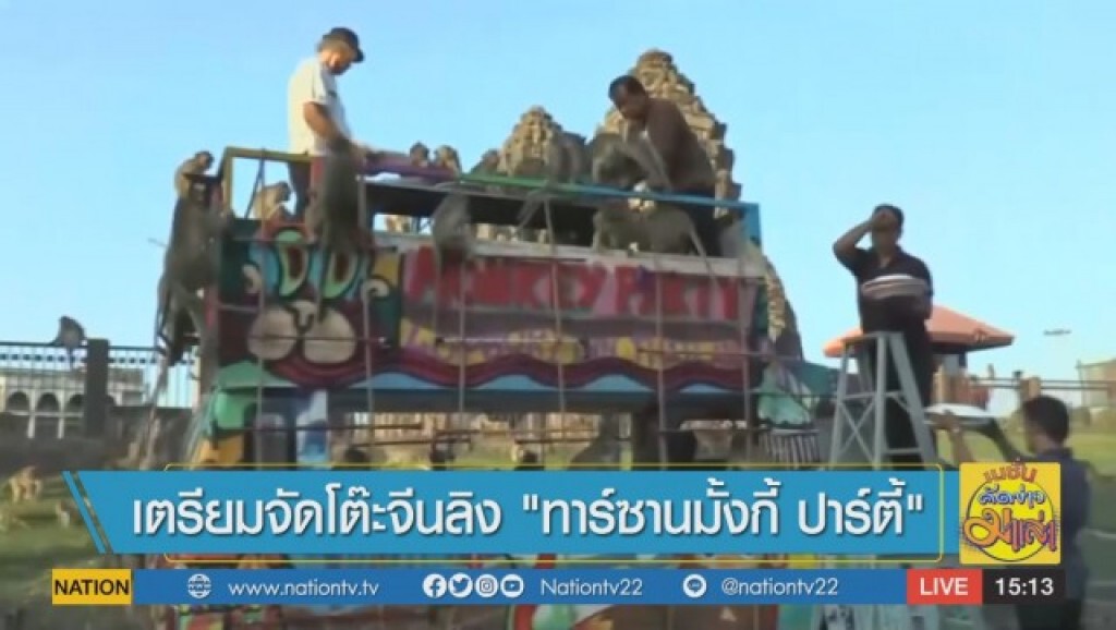 เตรียมจัดโต๊ะจีนลิง "ทาร์ซานมั้งกี้ ปาร์ตี้"