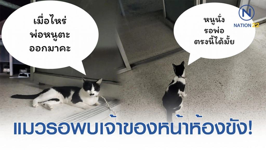 แมวน้อยมาบอกลาเจ้าของถึงหน้าห้องขัง