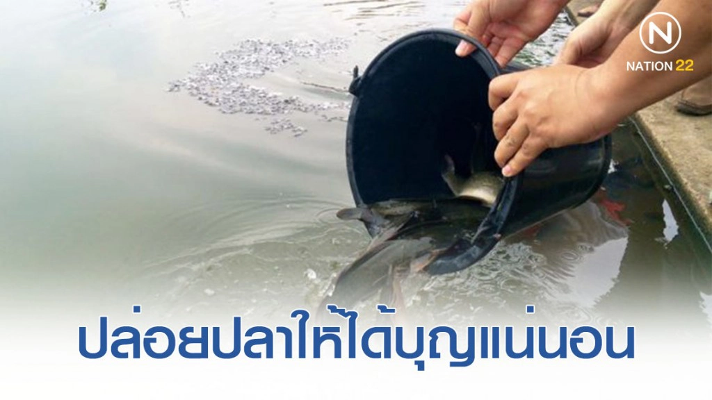 ปล่อยปลาให้ได้บุญแน่นอน