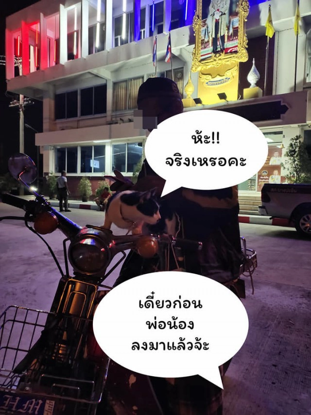 แมวน้อยมาบอกลาเจ้าของถึงหน้าห้องขัง