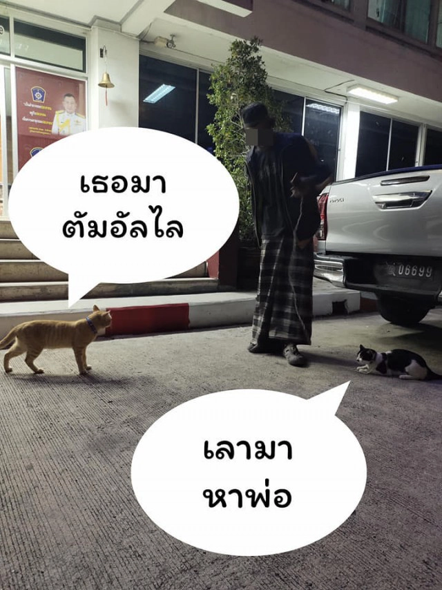 แมวน้อยมาบอกลาเจ้าของถึงหน้าห้องขัง