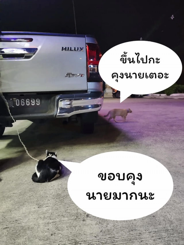 แมวน้อยมาบอกลาเจ้าของถึงหน้าห้องขัง