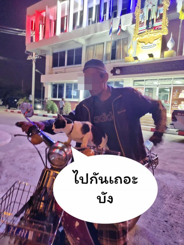 แมวน้อยมาบอกลาเจ้าของถึงหน้าห้องขัง