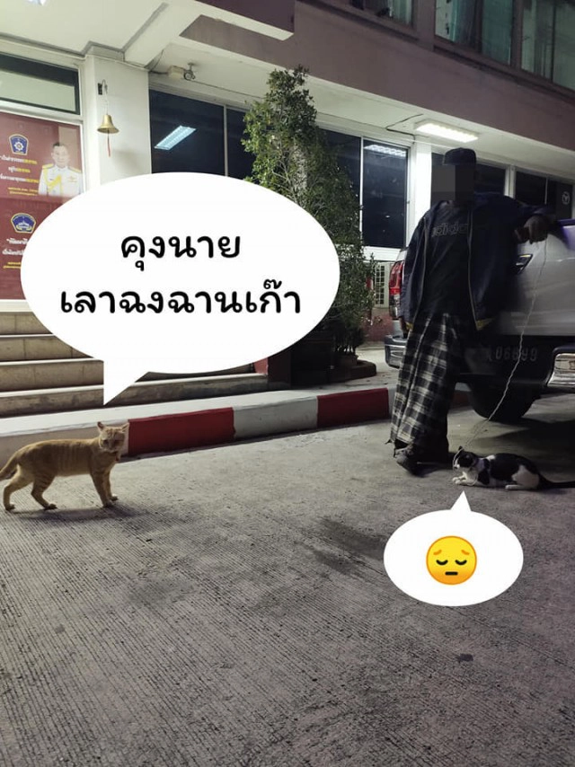 แมวน้อยมาบอกลาเจ้าของถึงหน้าห้องขัง