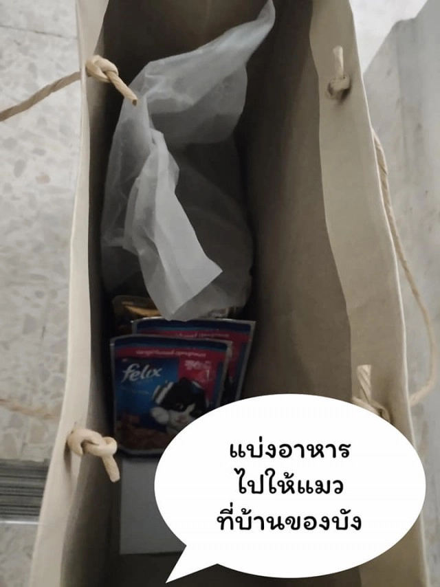 แมวน้อยมาบอกลาเจ้าของถึงหน้าห้องขัง