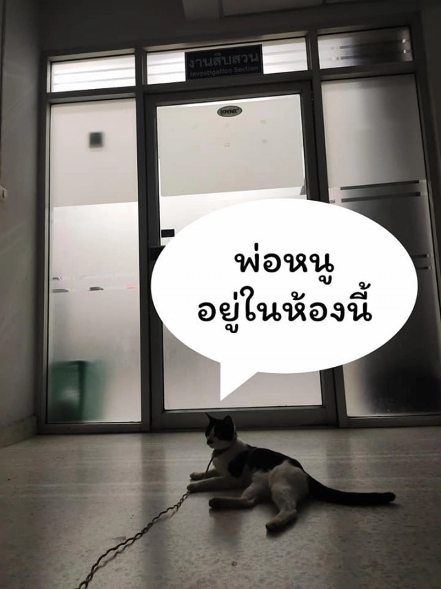 แมวน้อยมาบอกลาเจ้าของถึงหน้าห้องขัง