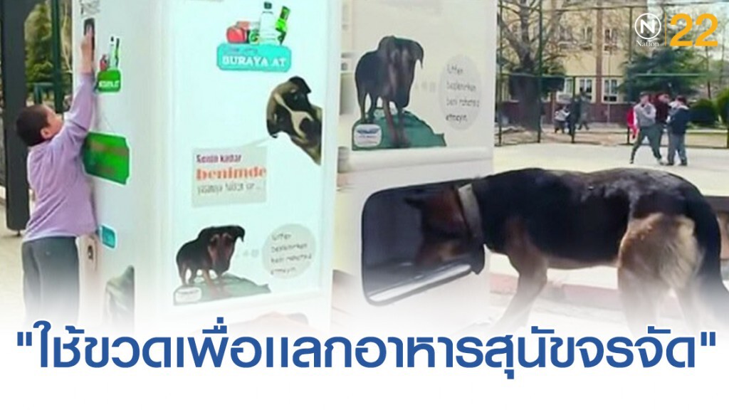 ตู้หยอดขวดพลาสติก ให้อาหารสุนัขจรจัด