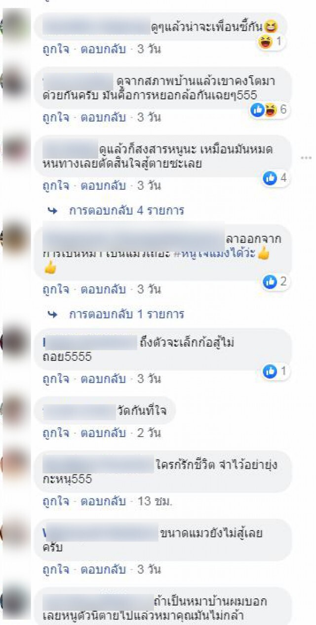 โซเชียลเริ่มสงสัย! ไม่รู้ใครหนูใครสุนัข