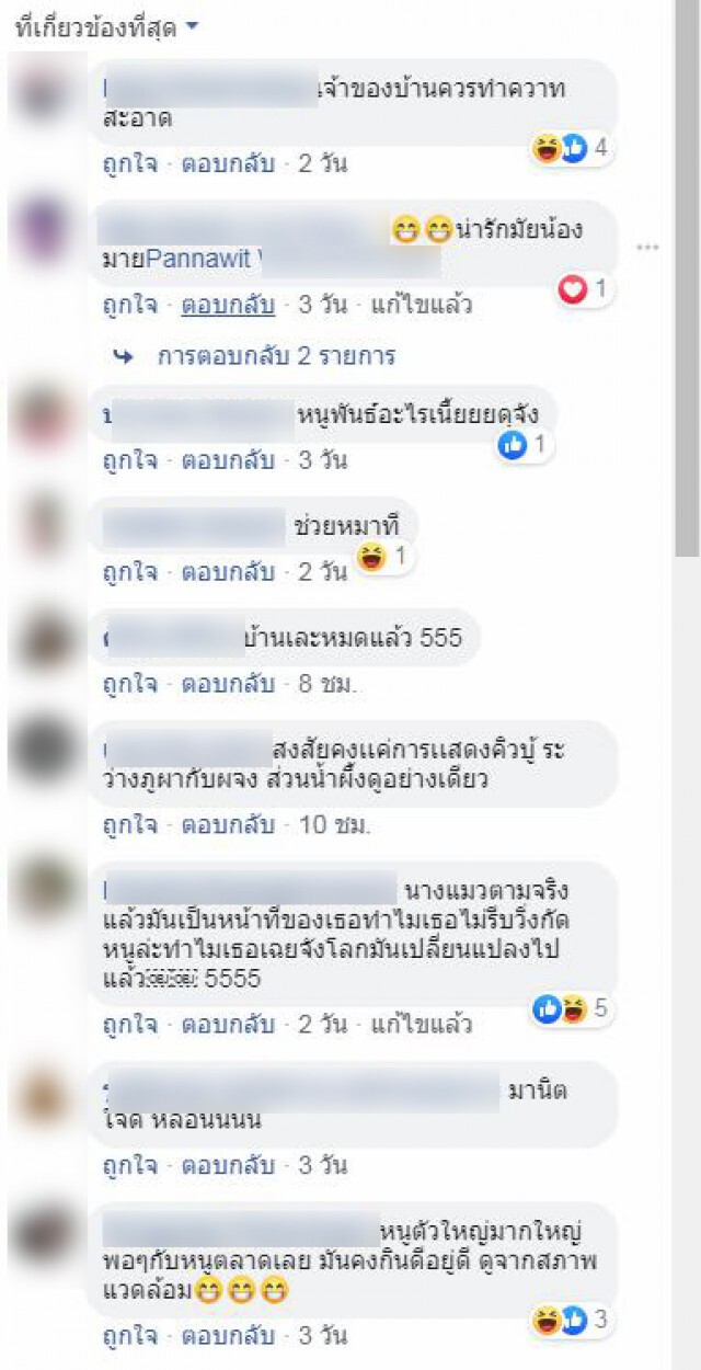 โซเชียลเริ่มสงสัย! ไม่รู้ใครหนูใครสุนัข