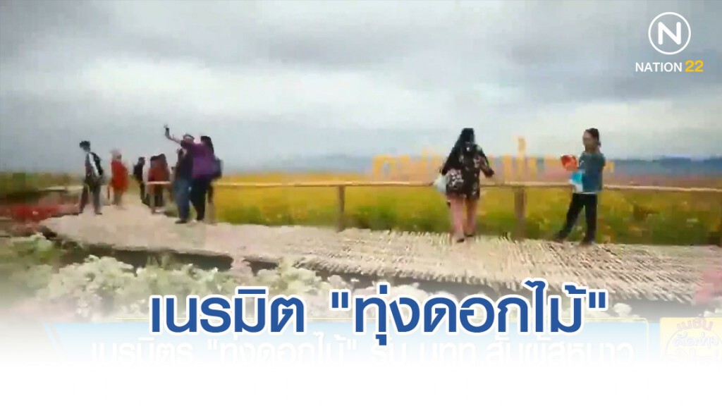 เนรมิต "ทุ่งดอกไม้" รับ นักท่องเที่ยว สัมผัสหนาว