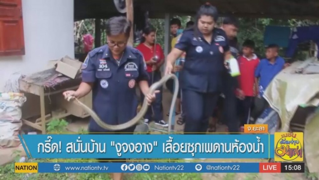 กรี๊ด ! สนั่นบ้าน "งูจงอาง" เลื้อยซุกเพดานห้องน้ำ