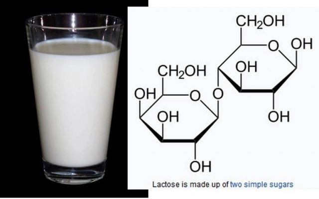 ดื่มนมแล้วท้องไส้ปั่นป่วน หันมาดื่มนมเปรี้ยวแทนได้
