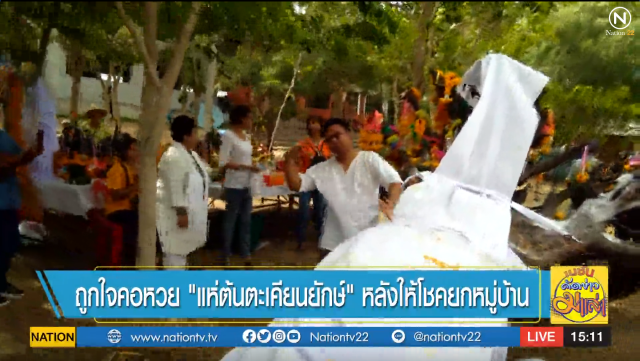 ถูกใจคอหวย "แห่ต้นตะเคียนยักษ์" หลังให้โชคยกหมู่บ้าน