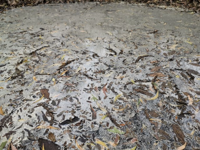 ขนย้ายกากสารเคมี​ลักลอบทิ้งป่าสระบุรี​ ไปกำจัดอย่างถูกวิธี​แล้ว​