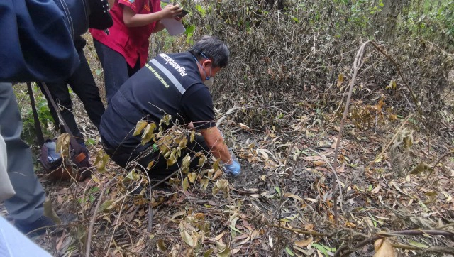 ขนย้ายกากสารเคมี​ลักลอบทิ้งป่าสระบุรี​ ไปกำจัดอย่างถูกวิธี​แล้ว​